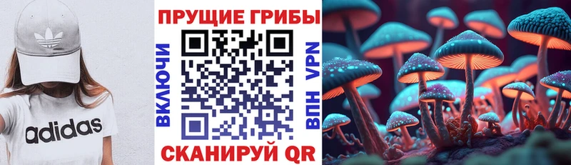 гидра tor  Фрязино  Псилоцибиновые грибы MAGIC MUSHROOMS  наркота 